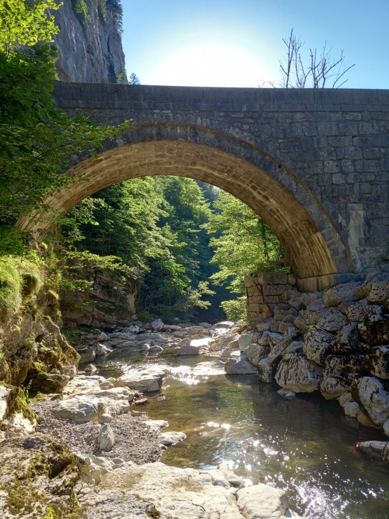 pont porte enclos